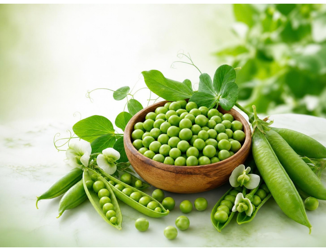 Fresh Green Peas