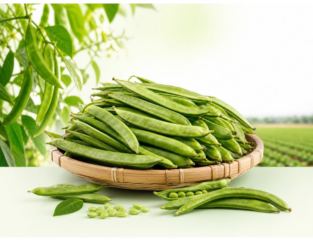 Cluster Beans Packaging