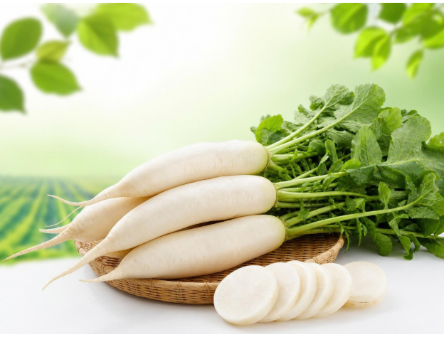 Fresh Radish - Premium Quality Fresh Radish from Vrinda Agro