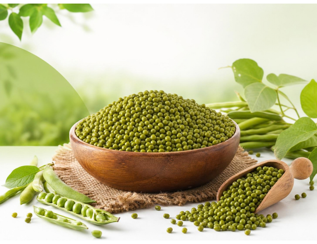 Indian Green Gram for Export