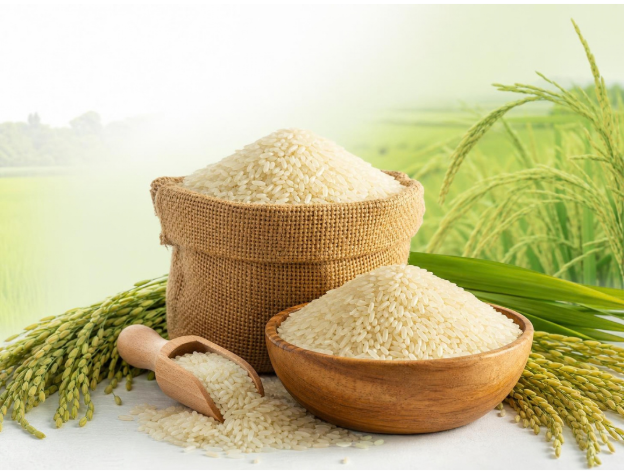 Non-Basmati Rice - Quality Indian Non-Basmati Rice from Vrinda Agro