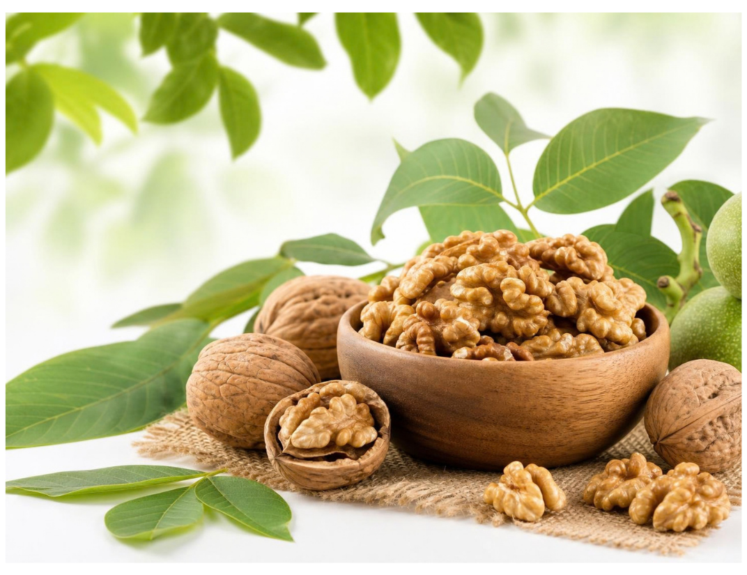 Walnuts Thumbnail 2