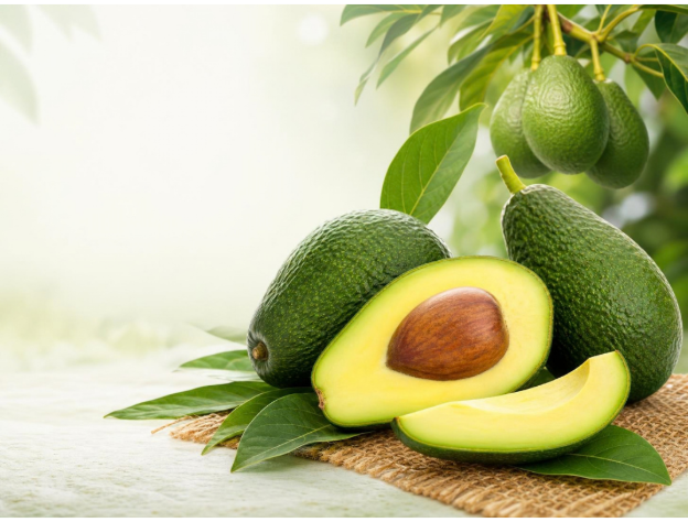 Fresh quality avocados sourced from India by Vrinda Agro