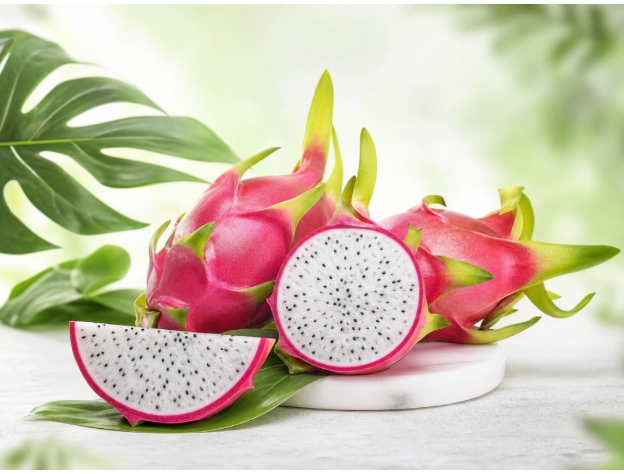 Fresh dragon fruit sourced from India by Vrinda Agro