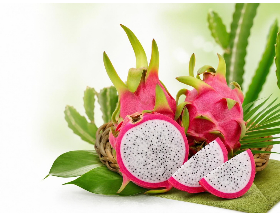Dragon Fruit Thumbnail 1
