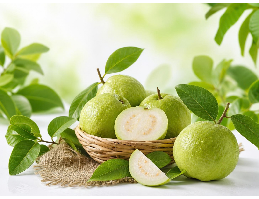 Guava Fresh Fruit Thumbnail 1