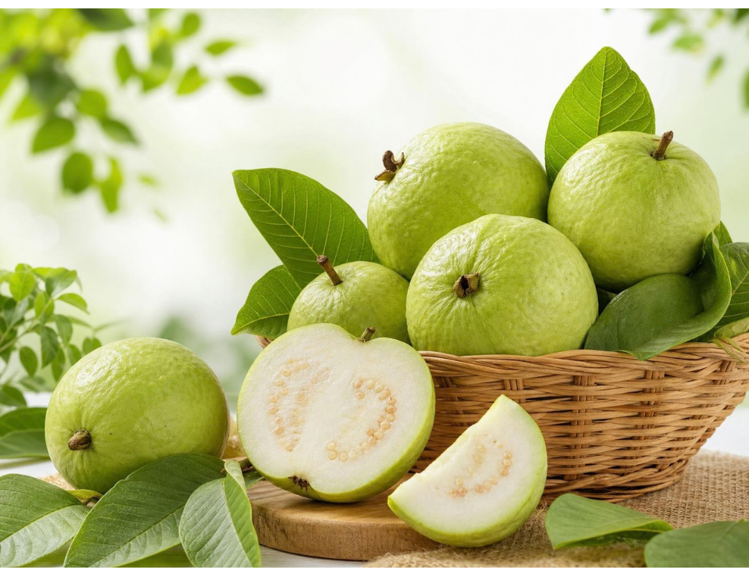 Guava Fresh Fruit Thumbnail 2