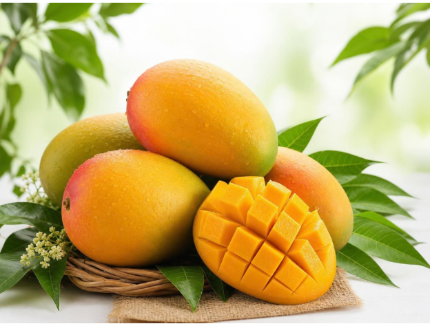 Fresh premium Indian mangoes from Vrinda Agro