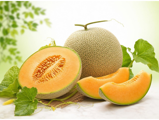 Fresh seasonal muskmelon sourced from India by Vrinda Agro
